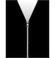 Zipper isolated on black vector image
