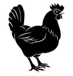 Chicken food vector image