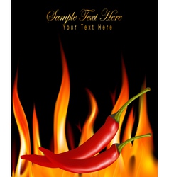 Hot chili peppers in fire vector image