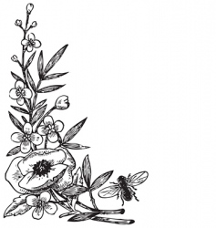 Antique flowers engraving vector image