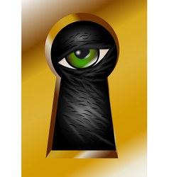 Keyhole and eye vector image