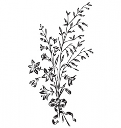 Antique flowers engraving vector image
