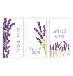 Set of three lavender banners Set of three lavender banners vector image