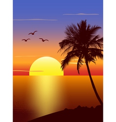 Sunset with palmtree silhouette vector image