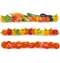 Three vegetable backgrounds vector image