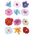 Flowers vector image