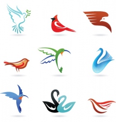 Bird graphics vector image