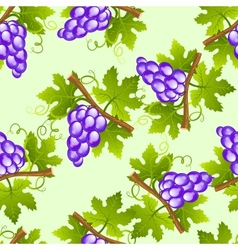 Grape seamless pattern vector image
