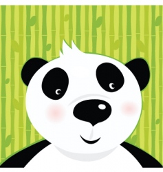 Panda bear on bamboo background vector image