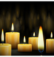 Burning candles vector image