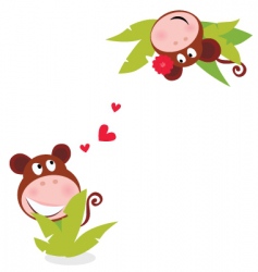 Monkey male female vector image