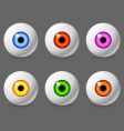 Human eyeballs vector image