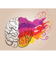 Creativity and brain vector image