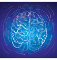 Brain and creativity vector image