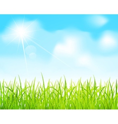 Blue sky and green grass vector image