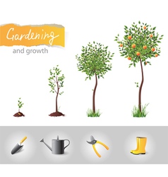 Gardening and growth vector image