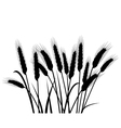 Wheat ears vector image