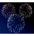 Fireworks vector image