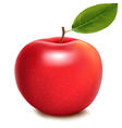 Red apple vector image
