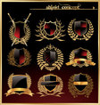 Shield and laurel wreath - set vector image