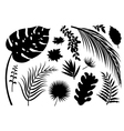 Set of silhouette leaves on white background Set of silhouette leaves on white background vector image
