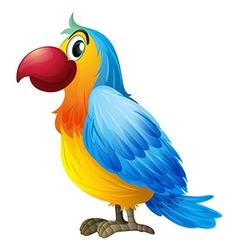 A colorful parrot A colorful parrot vector image