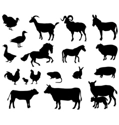 Farm animals vector image