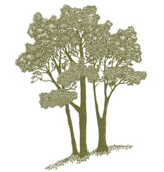 Woodcut Trees vector image