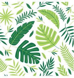 Seamless pattern with tropical plants vector image