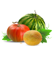 4578 vector image