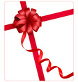 Red beauty bow with ribbon vector image
