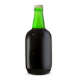 Green bottle of dark beer vector image