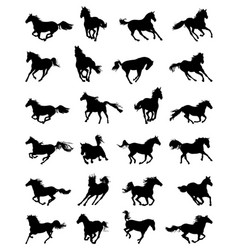Silhouettes of galloping horses vector image