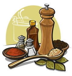 Spices vector image