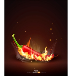 Flaming red chili vector image