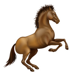 Rearing brown horse vector image