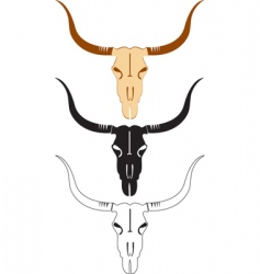 Bull vector image