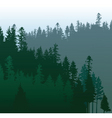 Coniferous forest vector image