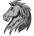 Wild stallion vector image
