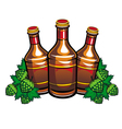 Beer bottles vector image