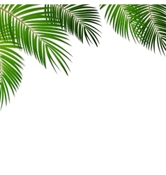Palm leaf border Royalty Free Vector Image - VectorStock