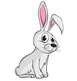 A smiling rabbit vector image