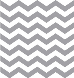 Gray and White Chevron Pattern vector image