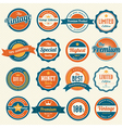 Set of retro vintage badges and labels eps10 vector image