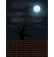 Spooky night scene vector image