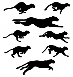 Wildcats set vector image